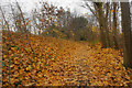 Leaf-strewn path up to the railway route in M30 9BP