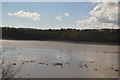 Low tide, Teign Estuary in TQ14 9PT