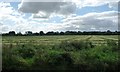 Hay drying under stormy skies, near Rutters Bridge in CW5 6BG