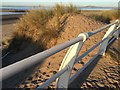 Marram Grass and Sand Dune in SA12 6AN