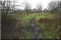 Muddy path near Ellesmere Park in M27 5PB