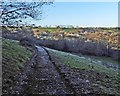 Frosty track to 'The Rookery' in EX14 4UD