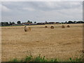 Baled straw, Thorpe Row beyond in IP25 7QQ
