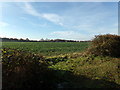 Farmland off Kerdiston Road in NR10 4QX