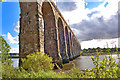 Stephenson's Viaduct in TD15 2HQ