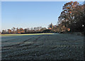 Whittlesford: a frosty field and the parish church in CB22 4LT