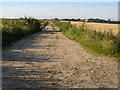 Track towards Dairybarn Farm in NR29 4QH