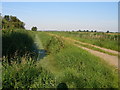 Drainage ditch beside the track in NR29 4RD