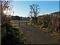 Path to Cardross Road in G84 7TX