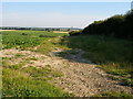 Farmland rolls down towards Martham Broad in NR29 4DL