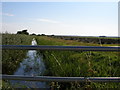 Hundred Stream from the road bridge in NR29 4EE