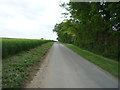 Road (bridleway) towards Desning Hall in Eastern English Region