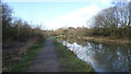 Chesterfield Canal - Towpath WNW of Brimington in S43 1HF