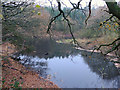 Pond between High Moor Lane and Sparrow Hill in WN6 9BD