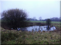 Another pond between High Moor Lane and Sparrow Hill in WN6 9BD