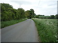 National Cycle Route 51 in IP29 5RP