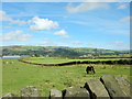 Fields close to Todmorden in OL14 6JN