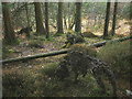 'Wild Boar Clearing', a sculpture at Grizedale Forest in Satterthwaite