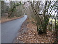Looking south on Nuthurst Street from bridleway junction in RH13 6LJ