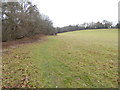 Bridleway goes east from field corner in RH13 6RF