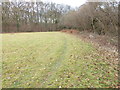 Bridleway goes south from field corner in RH13 6RF