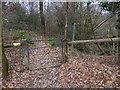 Bridleway enters woodland in RH13 6RF