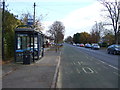 Bus stop and shelter on Binley Road (A428) in CV3 2UB