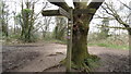 On Kinver Edge - Junction of Staffordshire Way & N Worcestershire Path in DY11 5SB