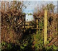 Footpath sign and stile on Summer Lane in TA17 8SH
