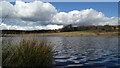 Pond by Granby Wood, Longshaw Estate, E of Hathersage in S11 7TZ