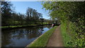Macclesfield Canal at Gurnett in SK11 0HQ