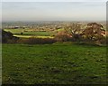 Farmland near Higher Chillington in TA17 8TG