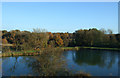 Lake near Manor Nurseries in B92 0LJ