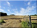 Recently harvested field in NE43 7JA