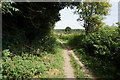Bridleway at Nut Wood in HU16 5WG