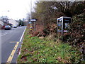 Overgrown BT phonebox, Cwm Nant Gwynt  in NP11 3JQ