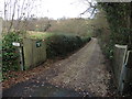 Track to Whatley Mill in TA20 4LE