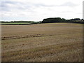 Stubble field near Greetham in LE15 7NJ