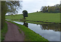Towpath along the Stourbridge Canal at Wollaston in DY8 4TQ