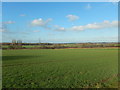 Farmland and Pylons North West of Fulking in Fulking