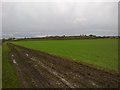 Footpath near Rise Farm in Normanby