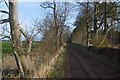 Road into Brownrig Wood in EH42 1XP