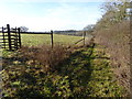 Footpath between field and woodland in RH13 9FT