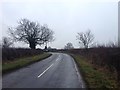 Road from Sibbertoft in Sibbertoft