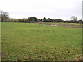 Grazing, North Rigton in LS17 0DJ