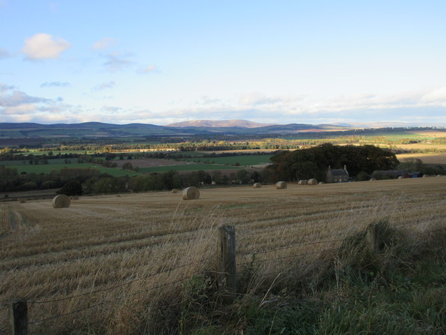 Hay bales, Hillbarns Farm in DD8 3PJ