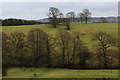 Footpath crossing the Valley created by Dinckley Brook in BB6 8HS