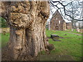 In the grounds of Beauly Priory in IV4 7BW