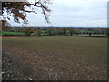 Young crop field near Ridley Hill Farm in CW6 9RX