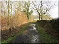 Footpath track near Crow Hill in Worston